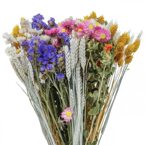 Floristik24 Kimppu kuivattuja kukkia meri laventeli Phalaris jyvä 55cm