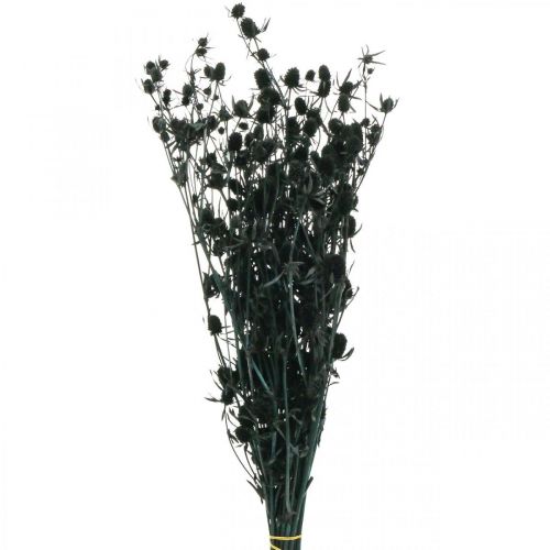 Floristik24 Kuivatut ohdake musta mansikka ohdake kuivatut kukat 100g