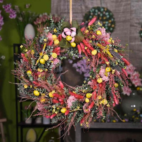 Floristik24 Kuiva ruoho pitkä pinkki höyhenruoho koriste Miscanthus 75cm 10 kpl