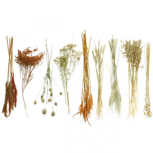 Floristik24 Kuivatut kukat DIY-sarja kuivattuun kukkakimppuun oranssi 60cm