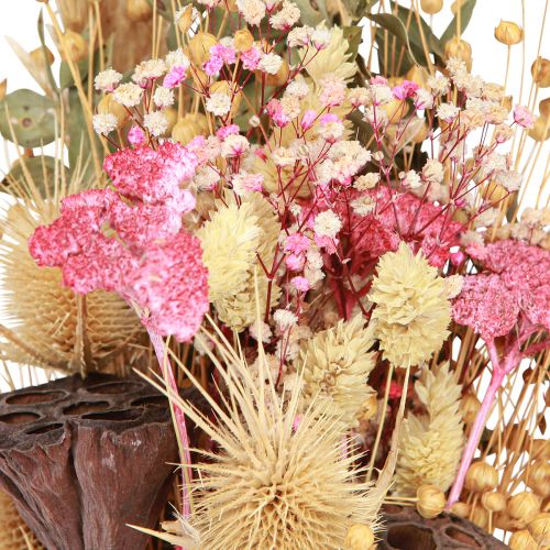 Floristik24 Kuivakimppu lootuspellava ohdake vaaleanpunainen kerma 50cm 100g