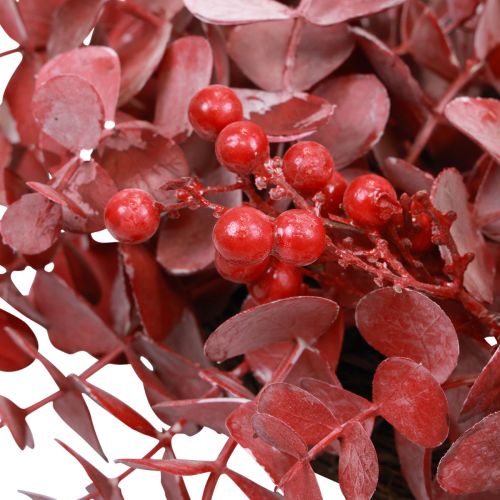 Floristik24 Ovi seppele eukalyptus eukalyptus seppele tekopunainen Ø40cm