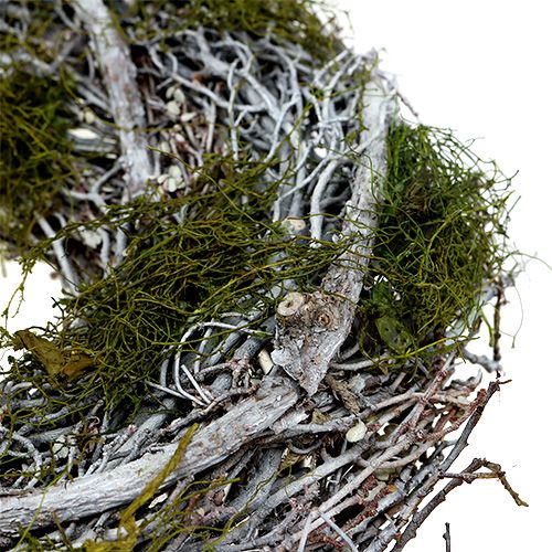 Floristik24 Ovaseppele sammalella Ø28cm harmaa, vihreä