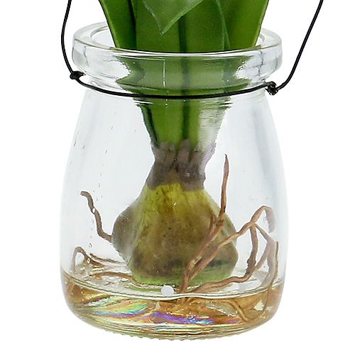 Floristik24 Tulppaani lasinpunaisessa H22.5cm 1kpl