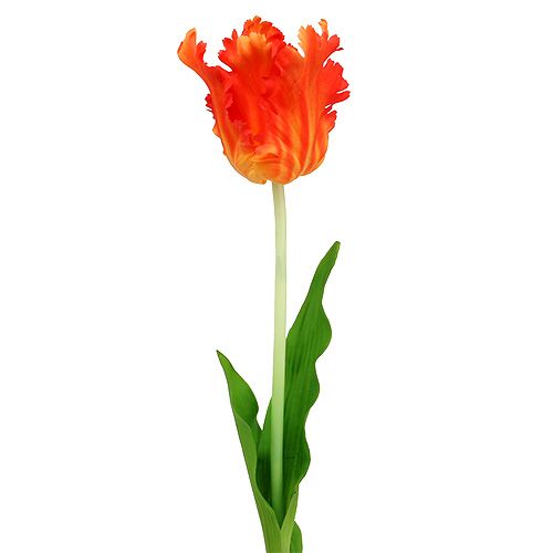 Floristik24 Tulppaani oranssi 70cm