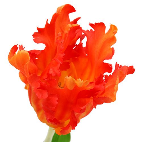Floristik24 Tulppaani oranssi 70cm