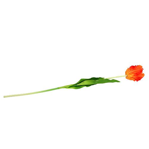 Floristik24 Tulppaani oranssi 70cm