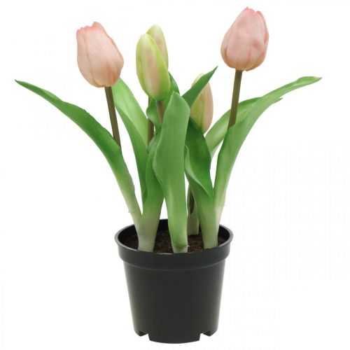 Floristik24 Tulppaani pinkki, vihreä ruukussa Keinotekoinen ruukkukasvi koristetulppaani H23cm