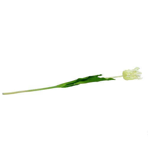 Floristik24 Keinotekoinen valkoinen tulppaani 70cm