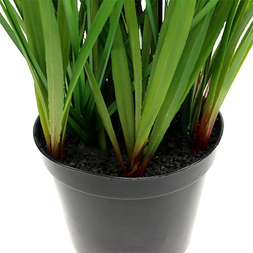 Floristik24 Tulppaanit keltaisessa ruukussa 30cm