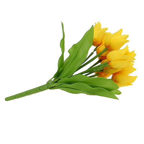 Floristik24 Tulppaanipensas Keltainen K30cm