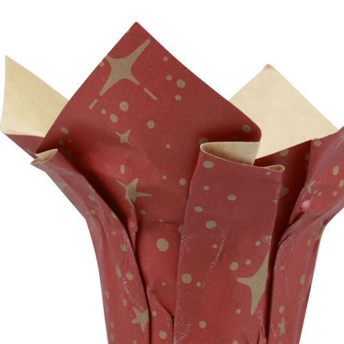 kohteita Istutuspaperitähtiä punainen/antrasiitti/luonnollinen Ø12cm K12cm 9kpl