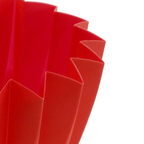 Floristik24 Ruukku Adonis Red 11cm 20 kpl