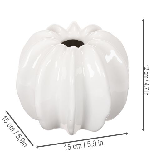 Kurpitsa-keraaminen maljakko, valkoinen, kodinsisustus, 15 cm | Floristik24.fi