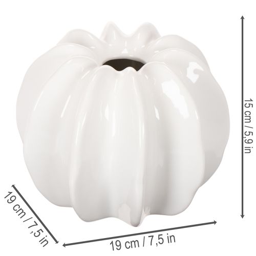 Kurpitsa-koristemaljakko, kiiltävä, syyskoriste olohuoneeseen, 19 cm | Floristik24.fi