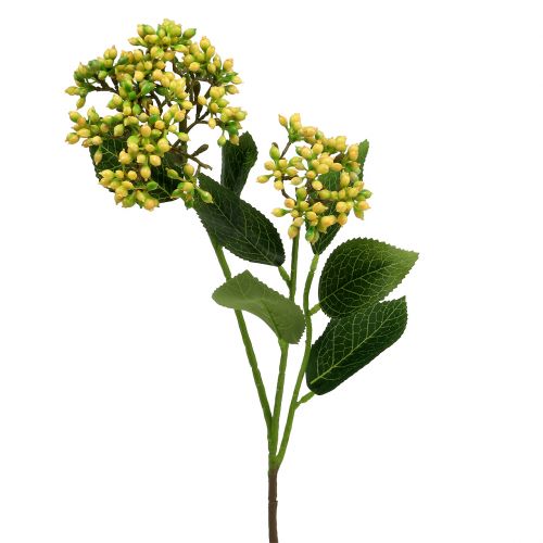 Floristik24 Viburnum marjan oksa 54cm keltainen 4kpl