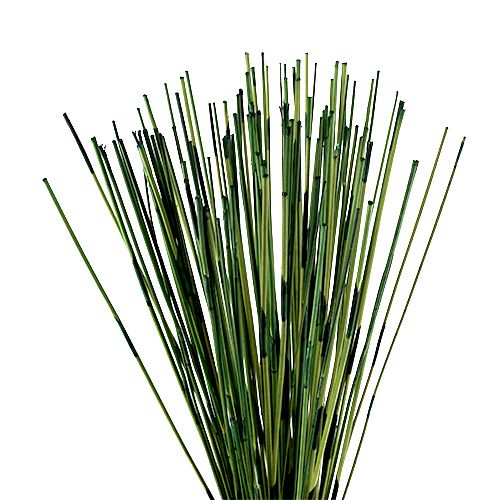Floristik24 Vlei Reed 400g tummanvihreä