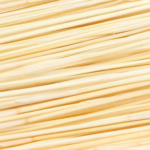 Floristik24 Vlei Reed 400g valkaistu