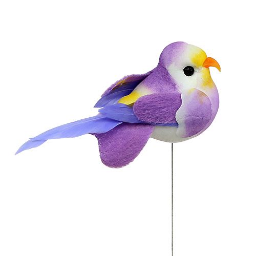Floristik24 Lintu langalla värillinen lajittelu. 7cm 12kpl