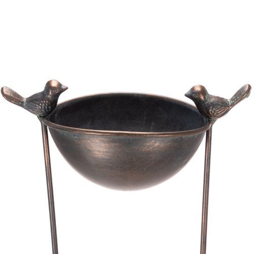 Koristeellinen lintuallas, kukkamalja säleiköllä, nostalginen ilme, tyylikäs puutarhakorostus, 75 cm