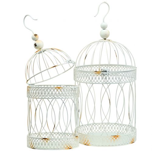 Floristik24 Bird aviary vintage pyöreä valkoinen Ø22 / 18cm 2kpl