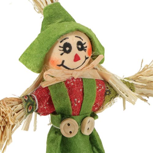 kohteita Linnunpelättimen kukkakepit vihreänoranssi K16cm 16 kpl