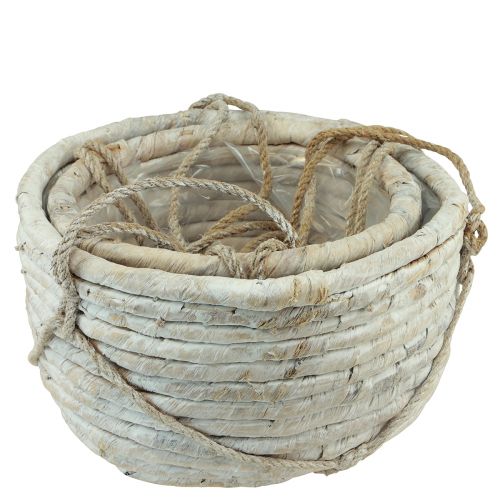 kohteita Vesihyasintin valkoinen 25/31cm ripustuskori 2 kappaletta