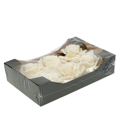 Floristik24 Vaharuusu Ø10cm Cream 6kpl