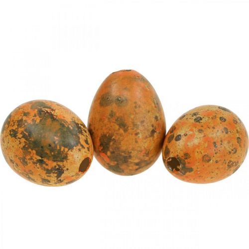 Floristik24 Viiriäisen muna koriste puhalletut munat oranssi aprikoosi 3cm 50kpl