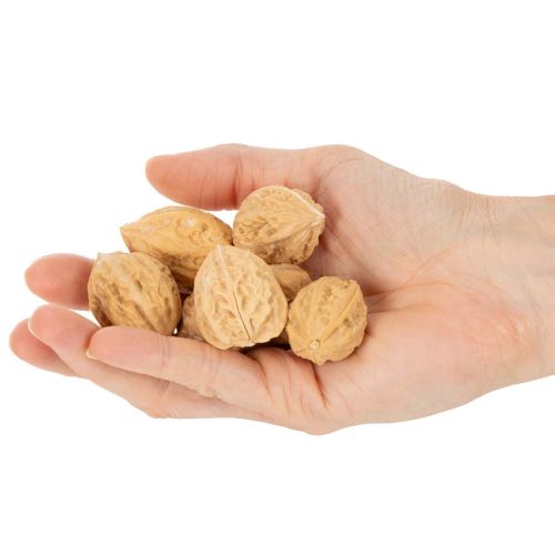 Saksanpähkinät koristeluun, luonnontuote, 3-4 cm, 300 g | Floristik24.fi