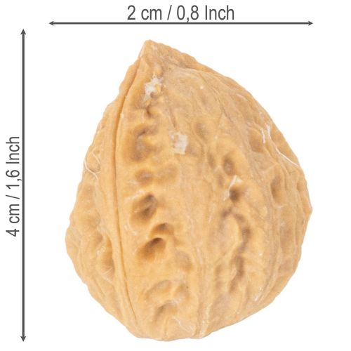 Saksanpähkinät koristeluun, luonnontuote, 3-4 cm, 300 g | Floristik24.fi