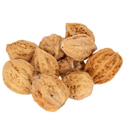 Saksanpähkinät, luonnontuote pöytäkoristeluun ja tee-se-itse-projekteihin. Luonnonpähkinät, 4-5 cm, 300 g.