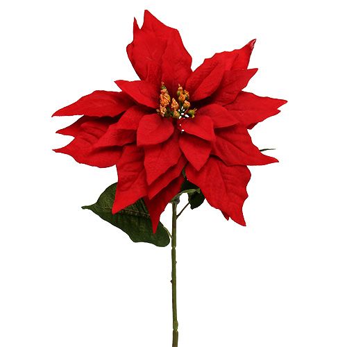 Floristik24 Joulutähti punainen 57cm 1kpl