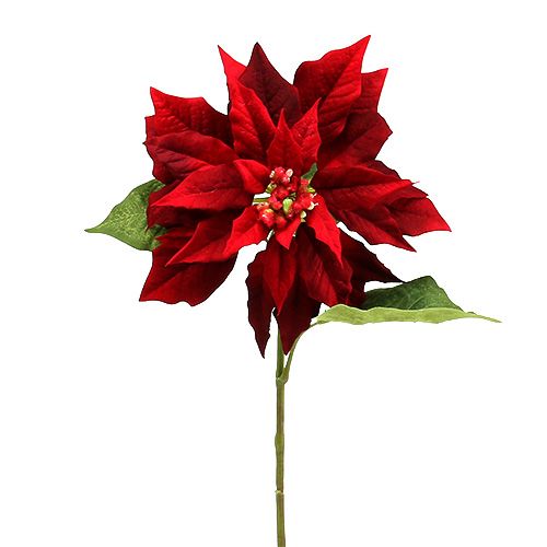 Floristik24 Joulutähti punainen 70cm