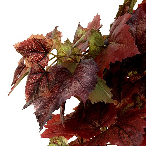 kohteita Vine Leaves ripustin vihreä, tummanpunainen 100cm