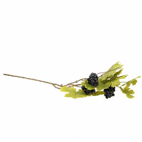 Floristik24 Viiniköynnöksen oksa rypäleillä 76cm