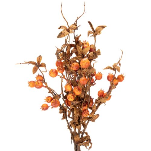 Keinotekoinen orapihlajan oksa, syyskoriste, 75cm | Floristik24.fi