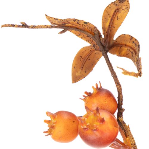 Keinotekoinen orapihlajan oksa, syyskoriste, 75cm | Floristik24.fi