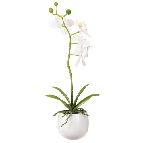 kohteita Valkoiset orkidea-tekokukat ruukussa Phalaenopsis K33cm