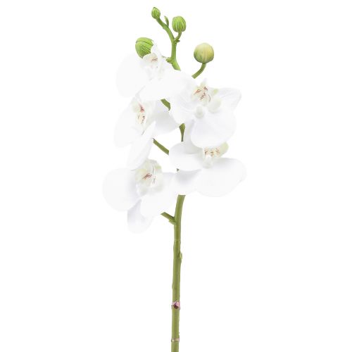 Valkoinen keinotekoinen orkidea Phalaenopsis Real Touch 32cm