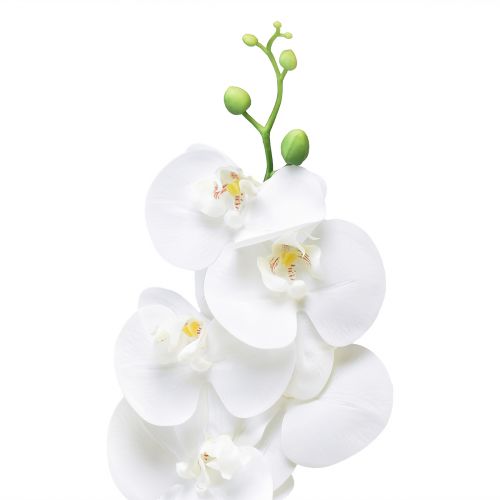 kohteita Valkoinen keinotekoinen orkidea Phalaenopsis Real Touch 85cm
