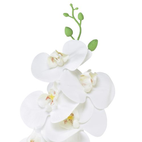 kohteita Valkoinen keinotekoinen orkidea Phalaenopsis Real Touch K83cm
