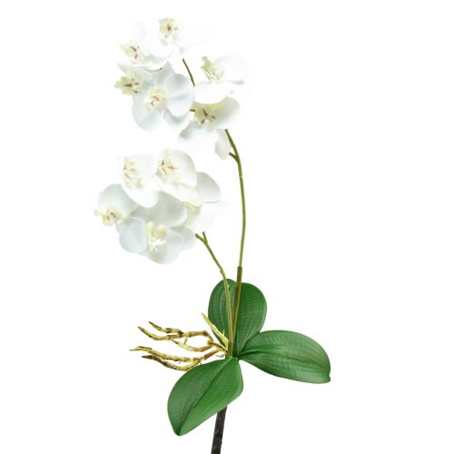 Floristik24 White Orchid on Pick Artificial Phalaenopsis Real Touch 39cm