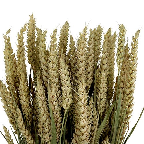 kohteita Vehnänippu natural deco vehnä 1 nippu 150g
