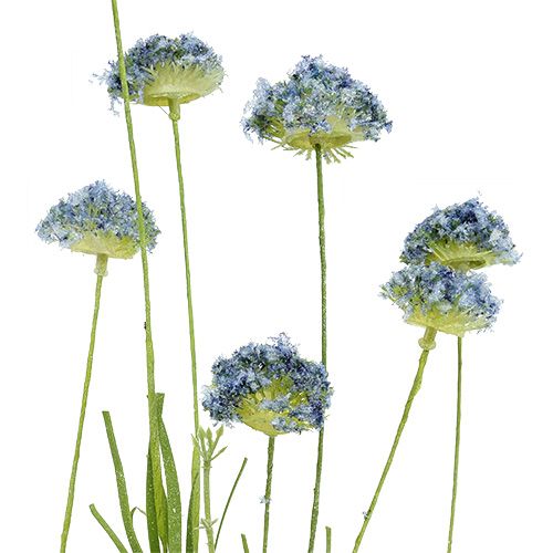 Floristik24 Niittykukat siniset L65cm 3kpl
