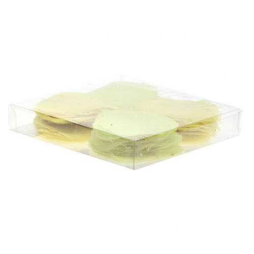 Floristik24 Pajunlehdet luurankoiset keltaiset sekoitus 200 kpl