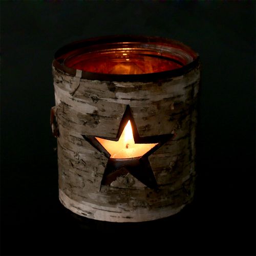 Floristik24 Lyhtytähti koivulla Ø10.5cm H11cm 1p