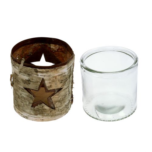 Floristik24 Lyhtytähti koivulla Ø10.5cm H11cm 1p