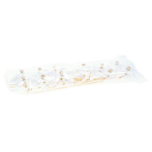Floristik24 Tuulimylly Mini Valkoinen Ø9cm 12kpl