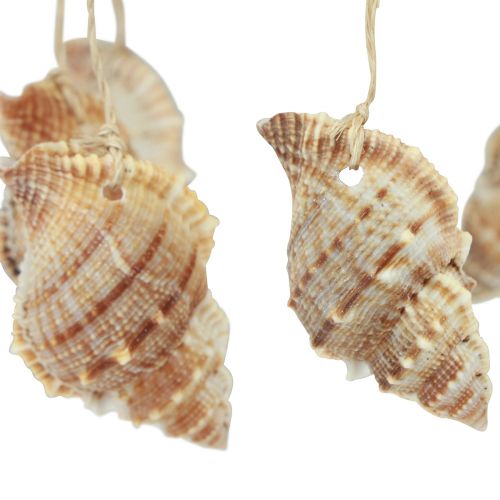 kohteita Tuulikello merellinen koristelu luonnon kookospähkinällä Ø12,5cm 48cm